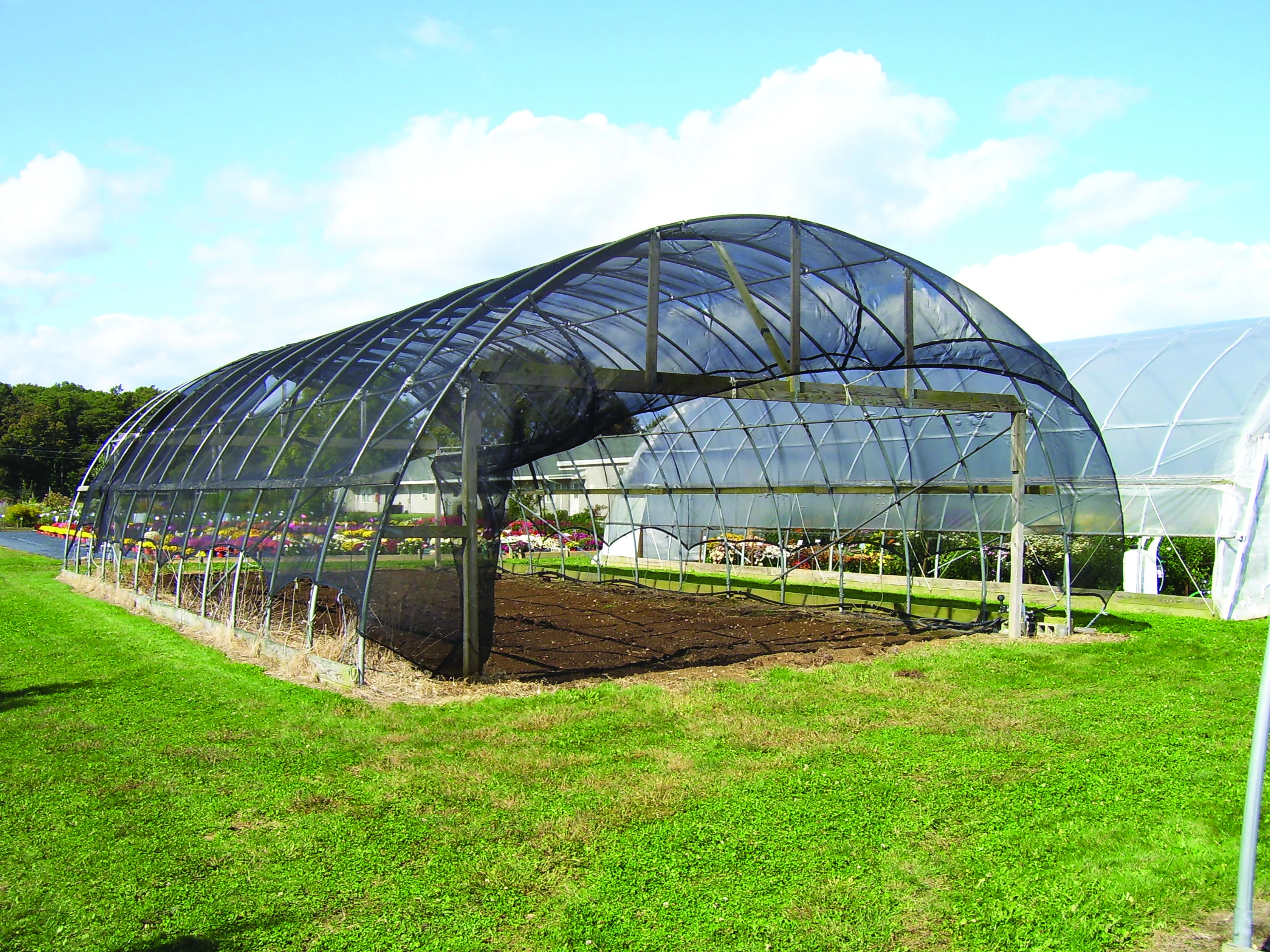 Nursery shade seedlings young plants